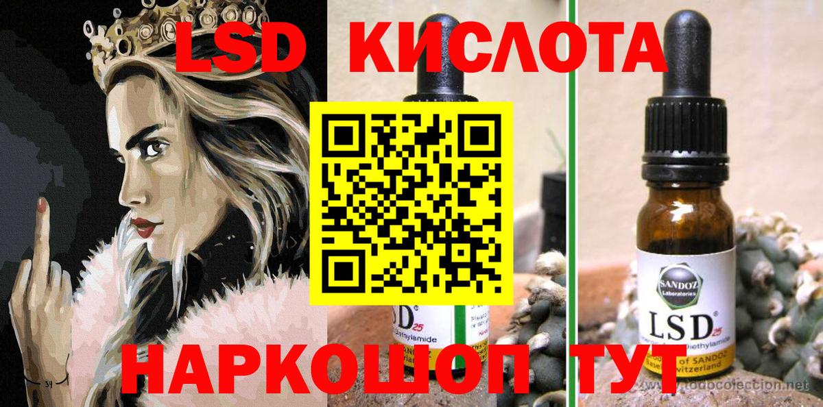 Псилоцибиновые грибы Петропавловск-Камчатский