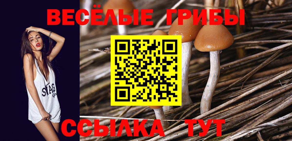 Псилоцибиновые грибы ЛСД  Вход с VPN  Псилоцибиновые грибы ЛСД  Петропавловск-Камчатский 