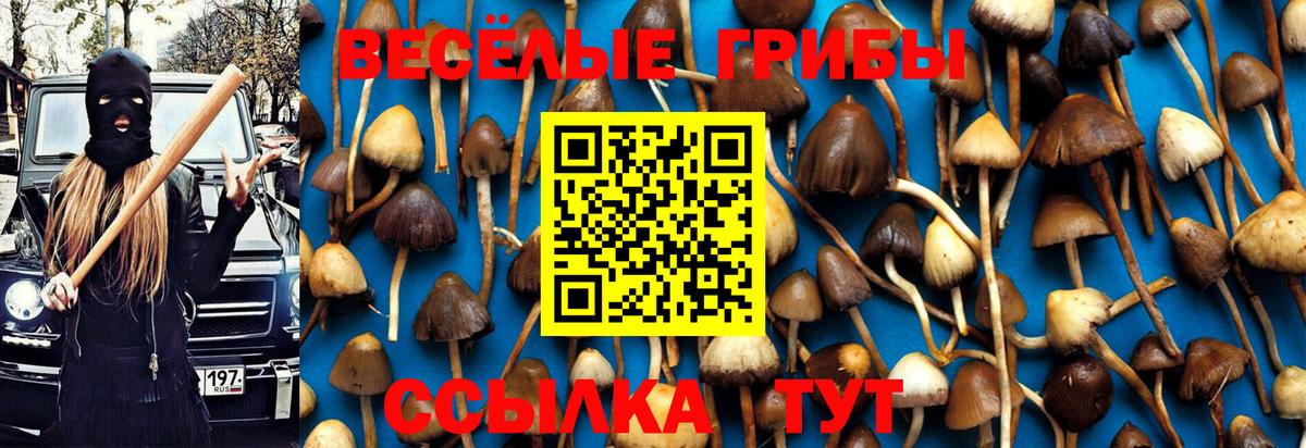 Галлюциногенные грибы Magic Shrooms Петропавловск-Камчатский